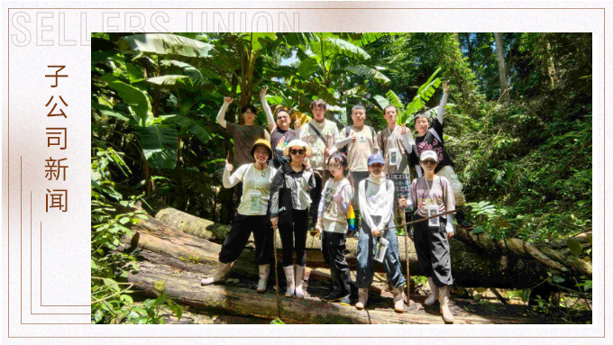 探雨林秘境，與森林同呼吸——記優景公司年中西雙版納團建旅游